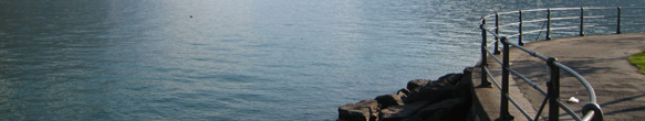 Header Vita